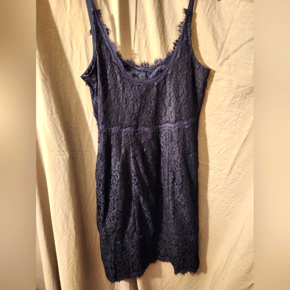 DVF Oliva Rose Lace Dress